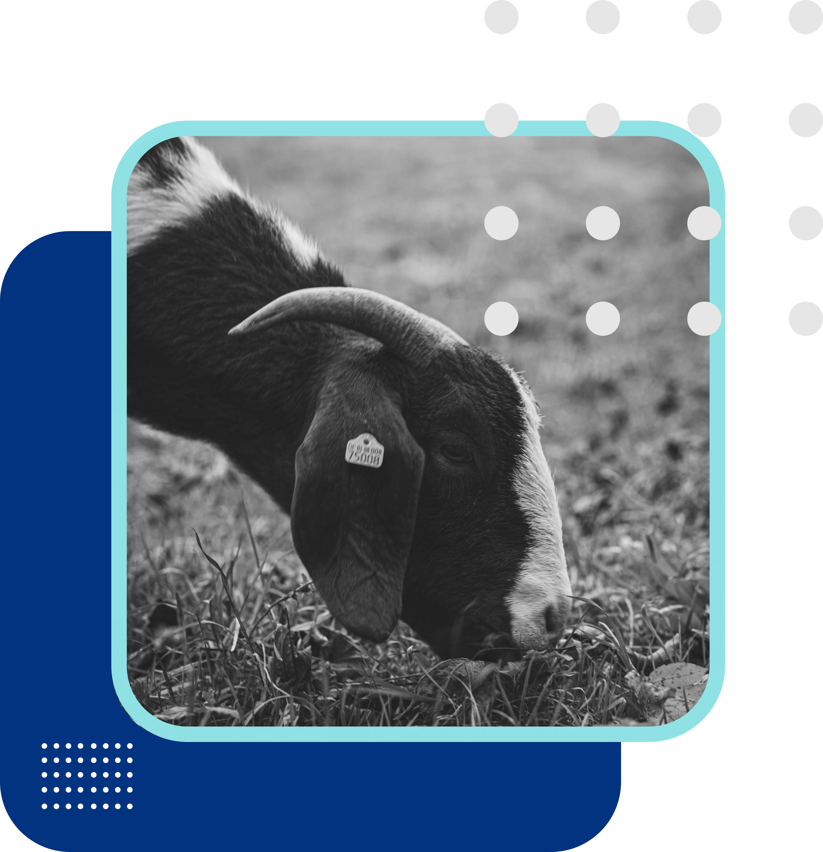 edited image of a cursor clicking on a brown shopping bag