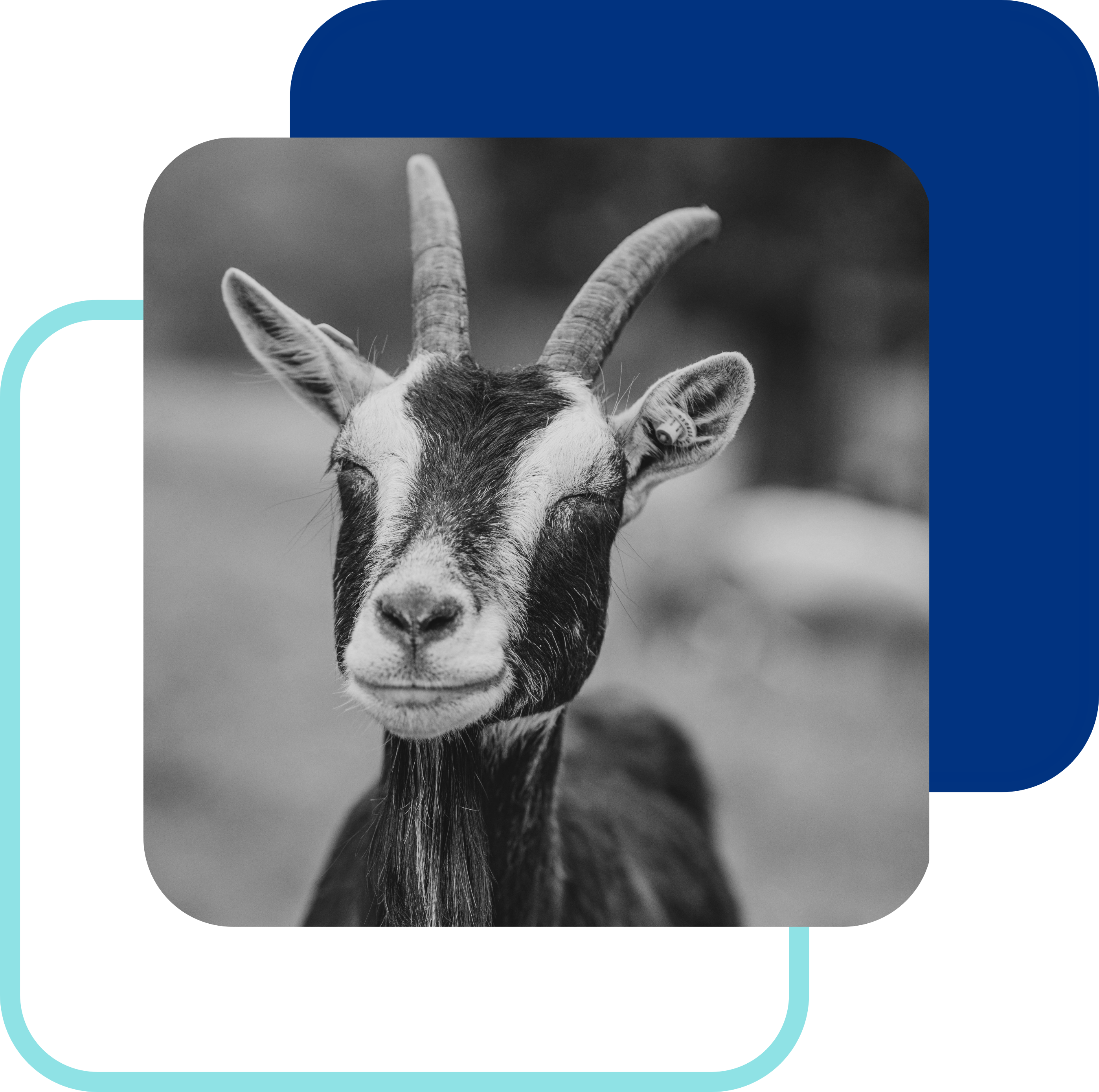 edited image of pens inside a container next to a keyboard