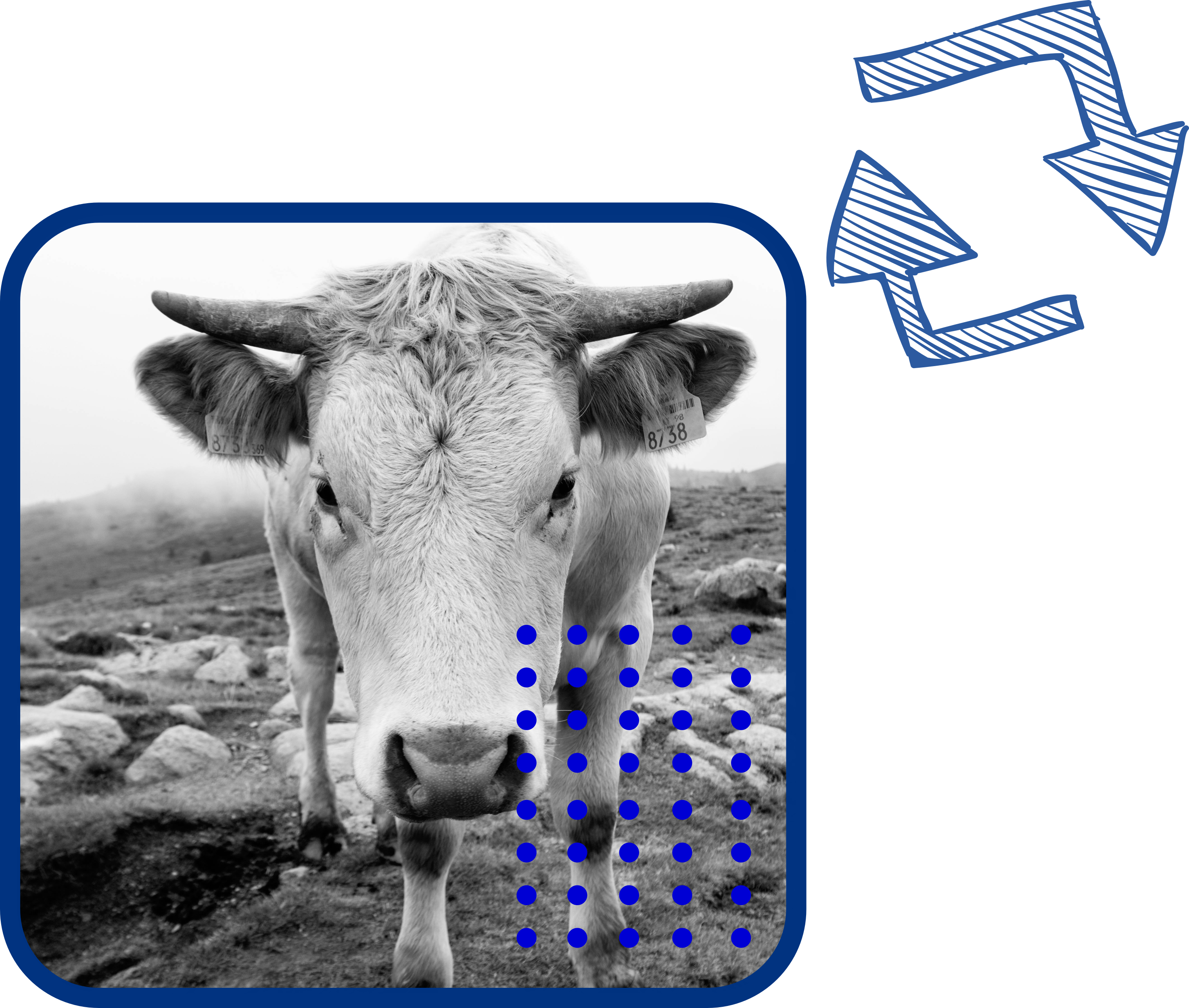 edited image of a girl on a chair showing another girl something on her phone